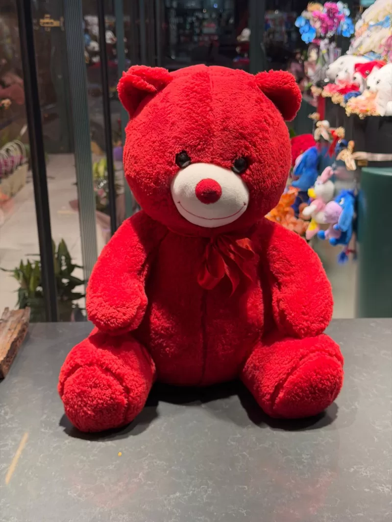 55 Cm Kırmızı Peluş Ayıcık