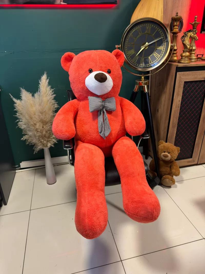 170 Cm Fuşya Peluş Ayıcık