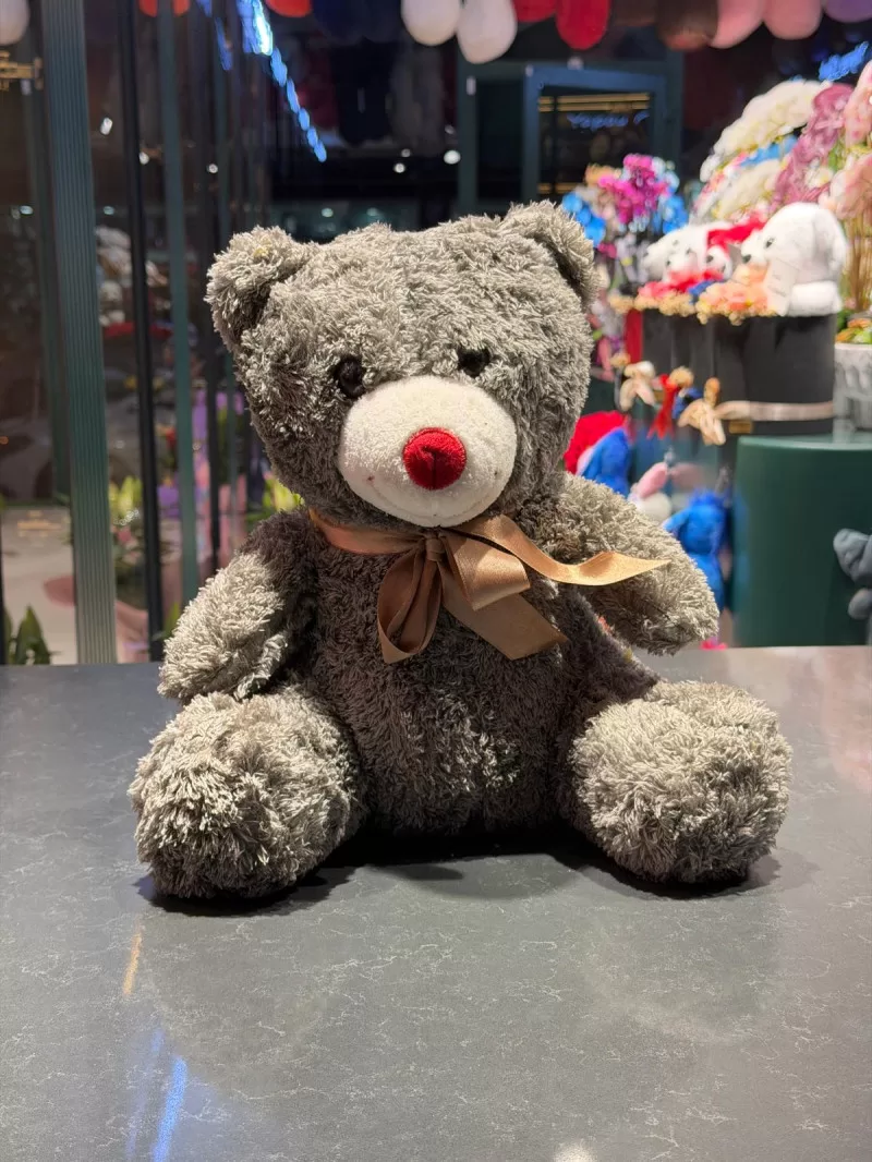 35 Cm Gri Peluş Ayıcık