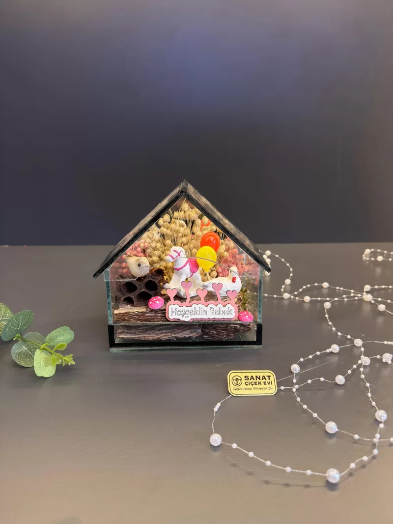 Cam Ev İçerisinde Mini Bahçe Kız Bebek