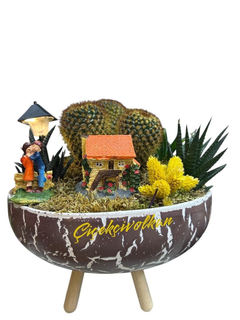 Işıklı Dev Teraryum