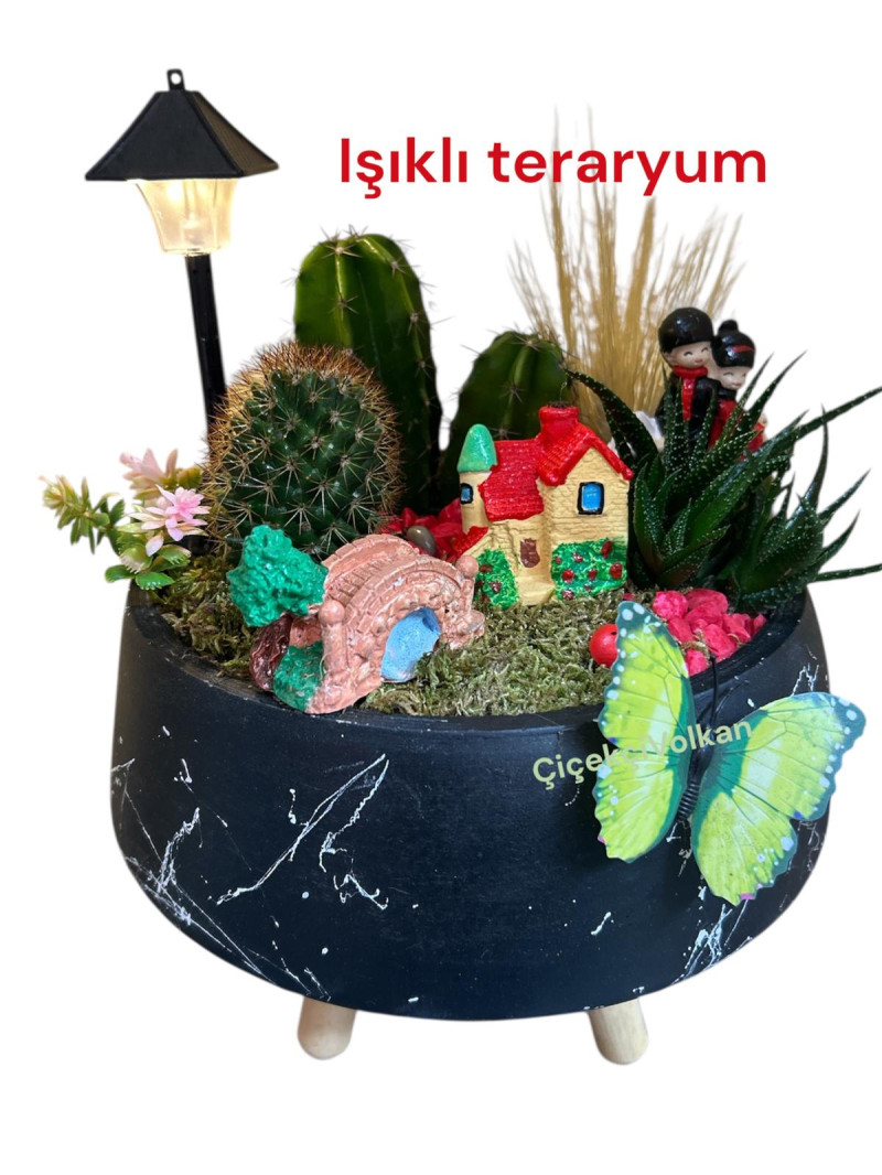 Işıklı Teraryum