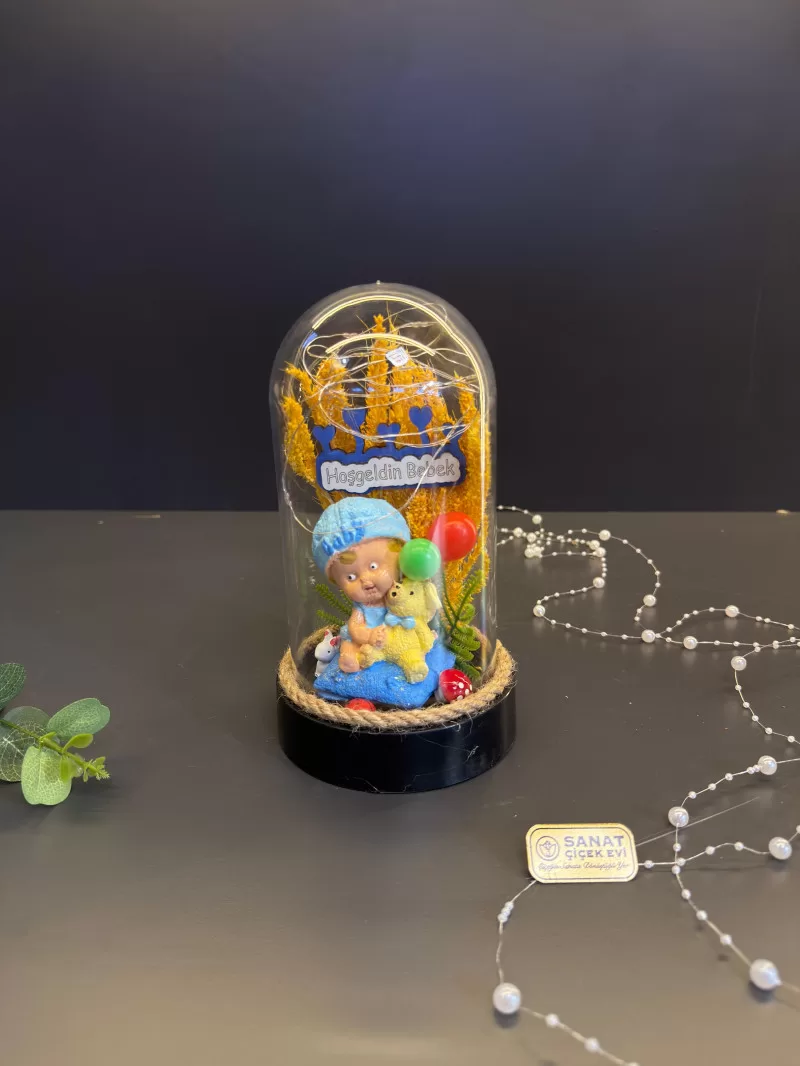 Işıklı Ters Fanusta Erkek Bebek Teraryum