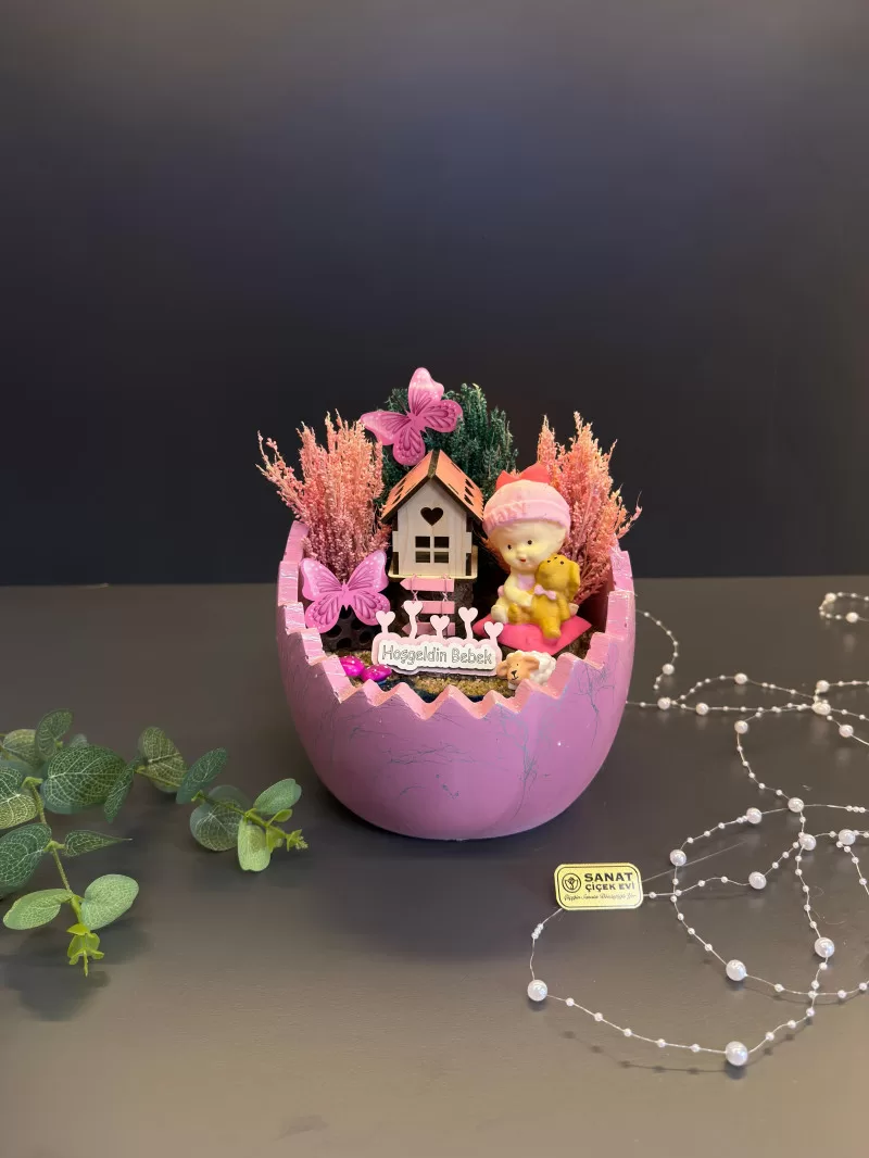 Kırık Yumurta Vazoda Kız Bebek Teraryum