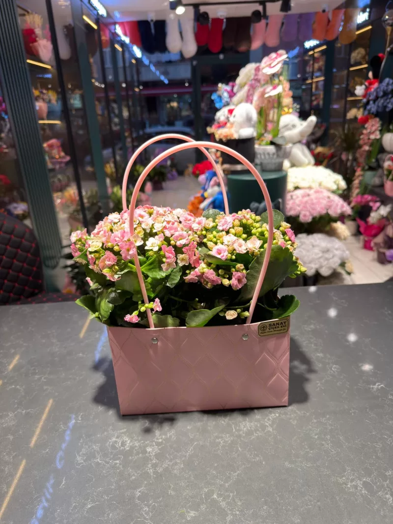 Özel Çantasında Pembe Kalanchoe