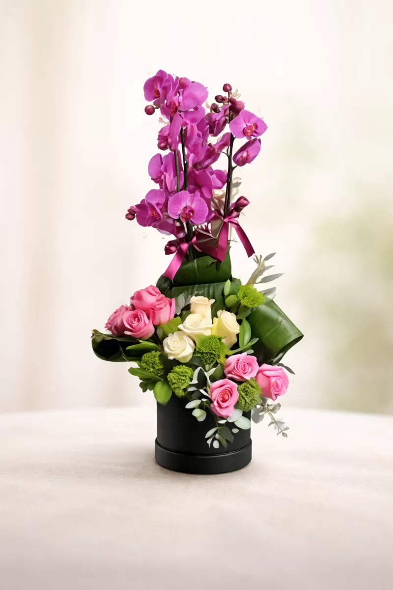 Royal Orchid Box